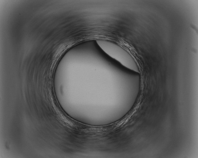 X0000093390049200710111355