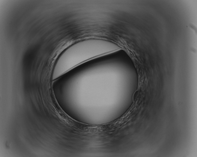 X0000093390050200710111355