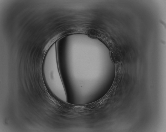 X0000093390051200710111355