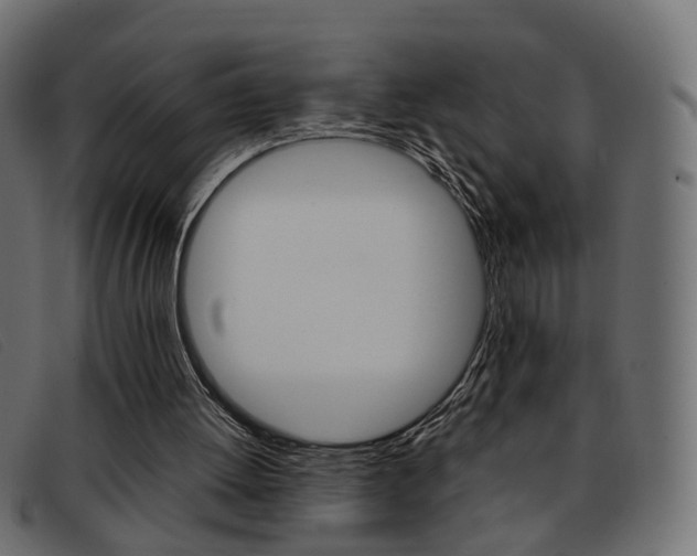 X0000093390052200710111355