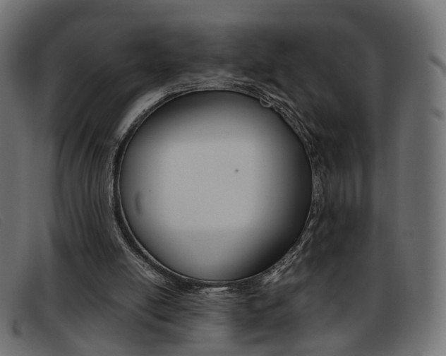X0000093390054200710111355