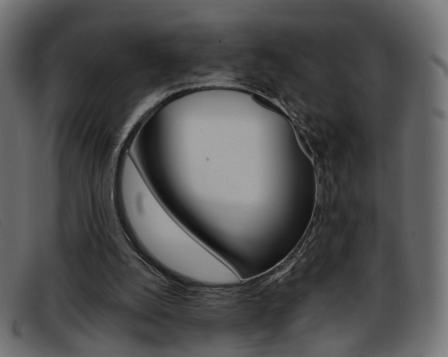 X0000093390056200710111355
