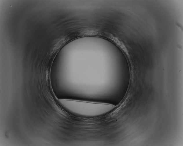 X0000093390057200710111355