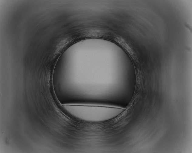 X0000093390058200710111355