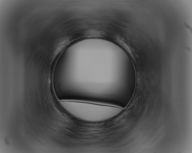 X0000093390059200710111355