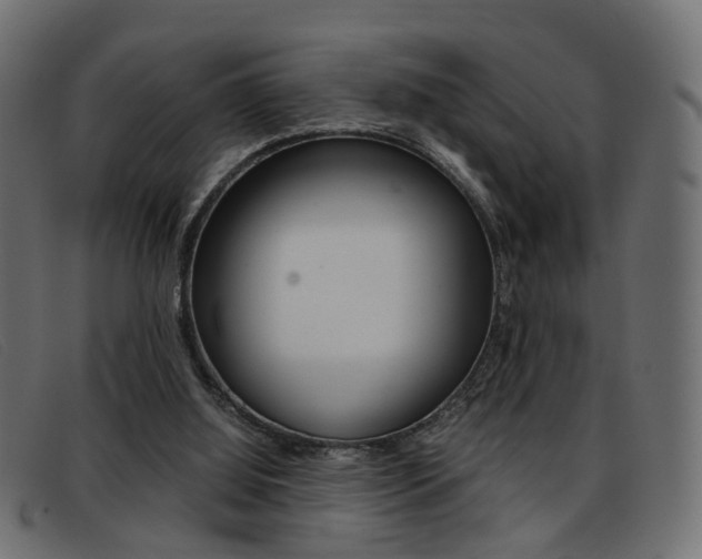 X0000093390060200710111355