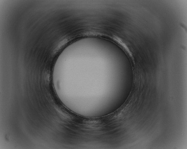 X0000093390063200710111355