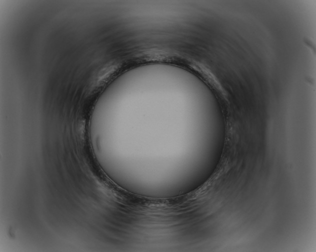X0000093390066200710111355