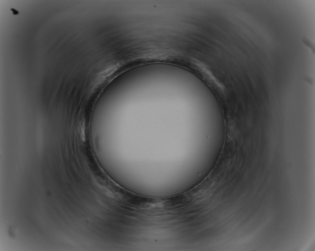 X0000093390068200710111355
