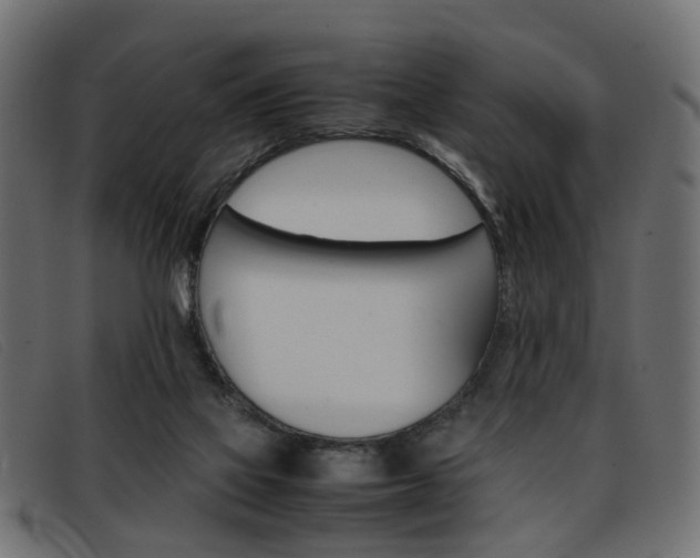 X0000093390069200710111355