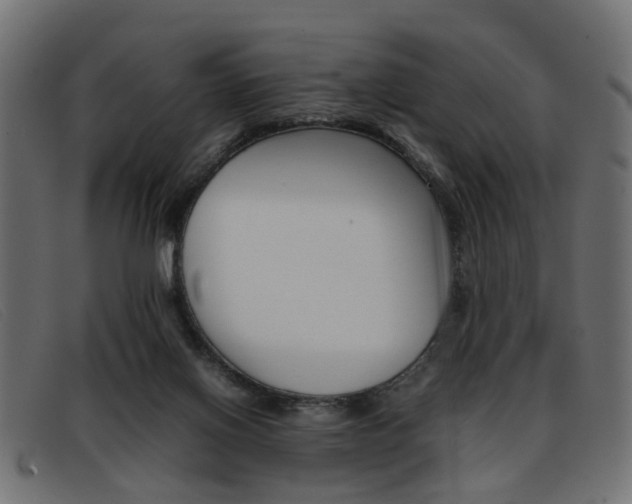 X0000093390070200710111355