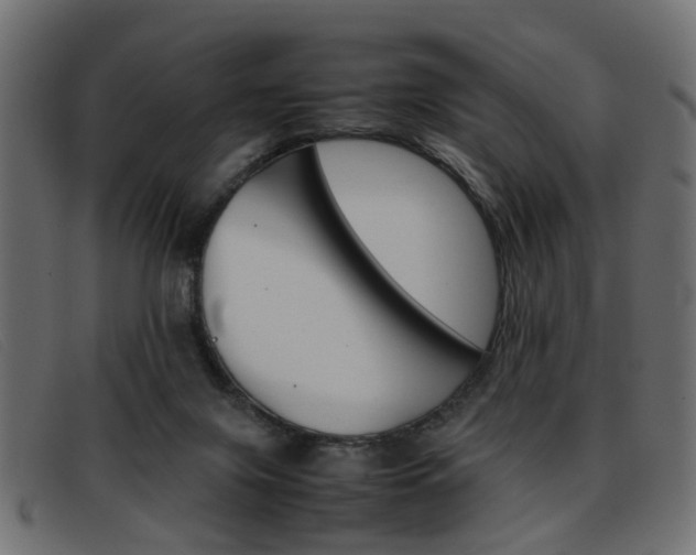 X0000093390071200710111355