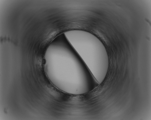 X0000093390072200710111355