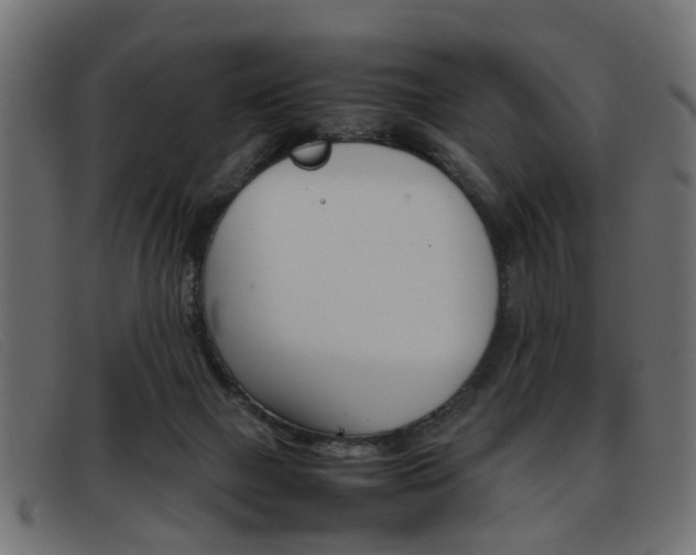 X0000093390073200710111355