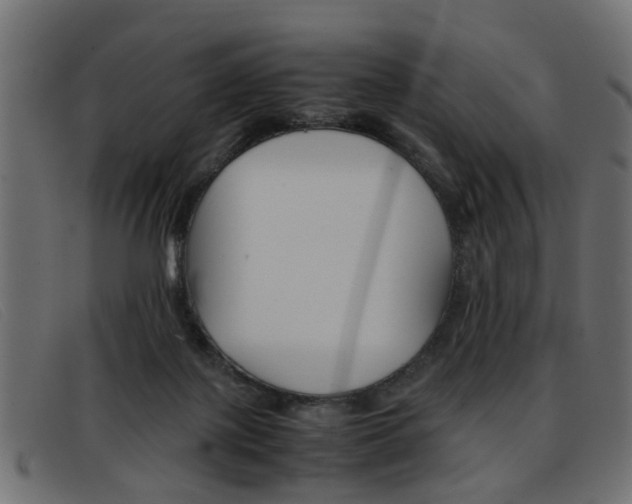 X0000093390075200710111355