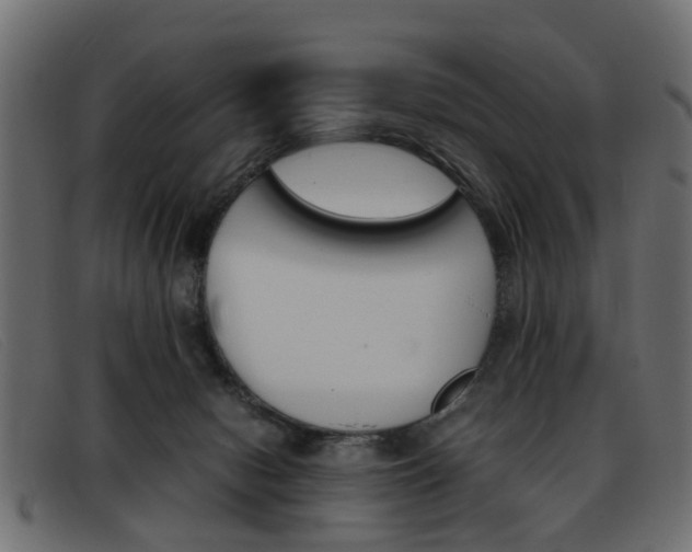X0000093390078200710111355