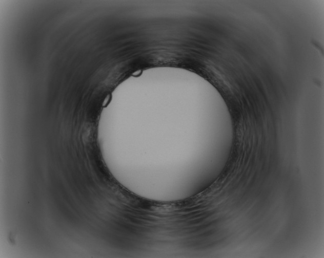 X0000093390079200710111355