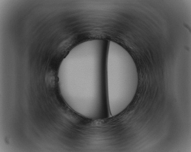X0000093390080200710111355