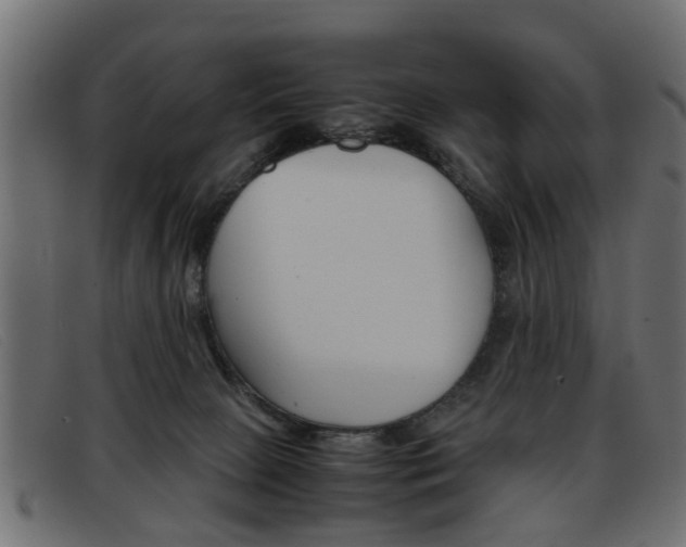 X0000093390081200710111355