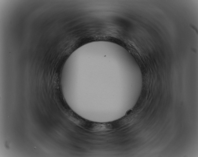 X0000093390083200710111355