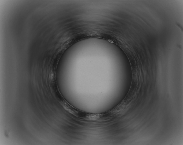 X0000093390084200710111355
