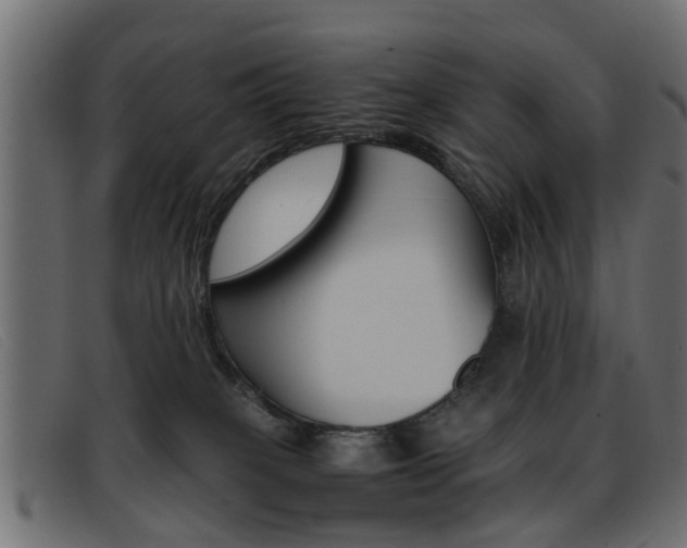 X0000093390085200710111355