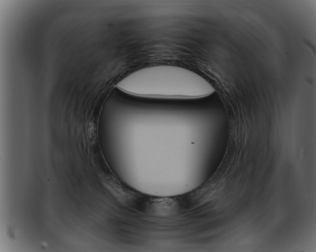 X0000093390087200710111355