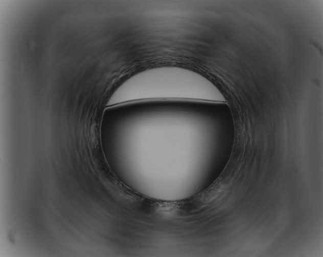 X0000093390088200710111355