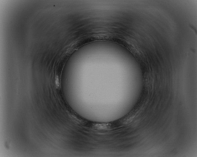 X0000093390089200710111355