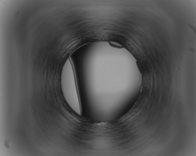 X0000093390092200710111355