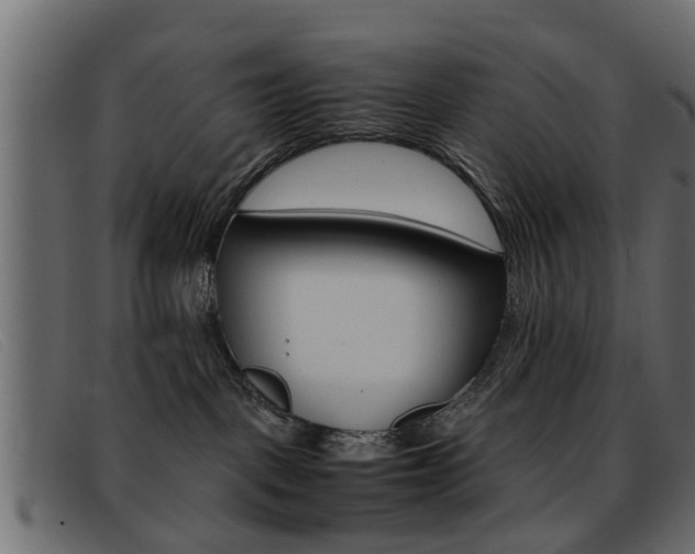X0000093390093200710111355