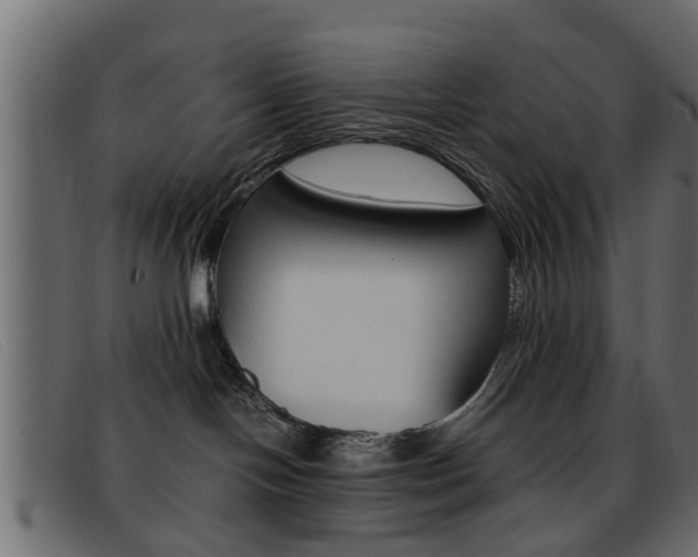 X0000093390094200710111355