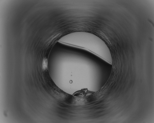 X0000093390095200710111355