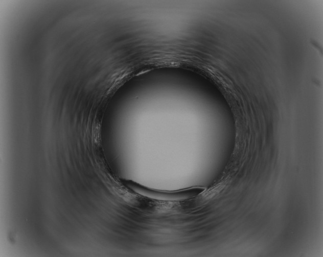X0000093390096200710111355