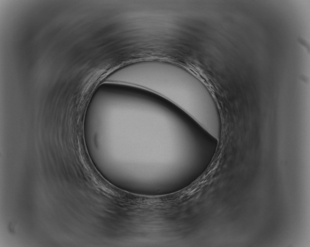 X0000093390097200710111355