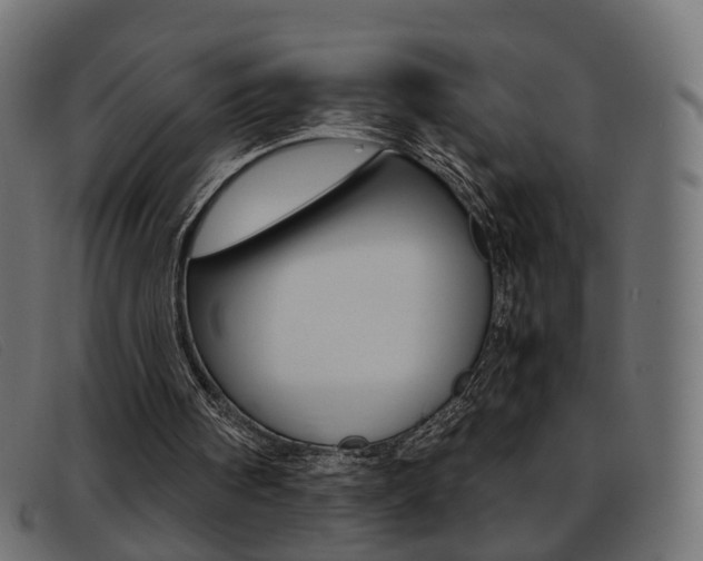 X0000093390098200710111355