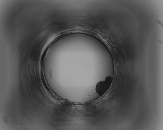 X0000093390102200710111355