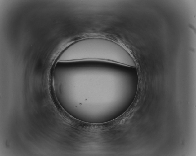 X0000093390103200710111355