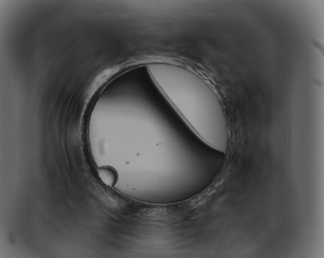 X0000093390104200710111355