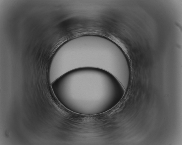 X0000093390105200710111355