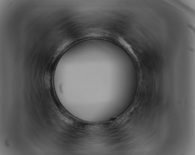 X0000093390106200710111355