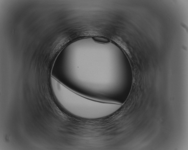 X0000093390109200710111355