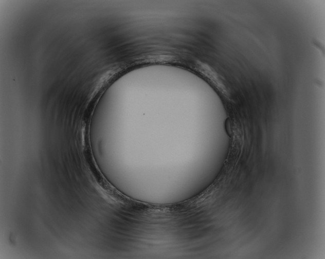 X0000093390110200710111355