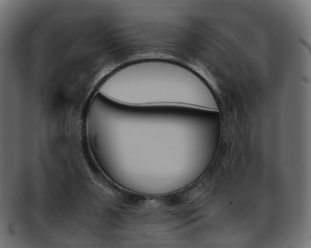 X0000093390111200710111355