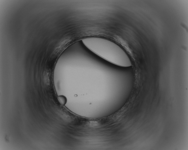 X0000093390114200710111355
