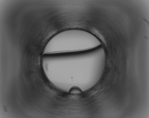 X0000093390115200710111355