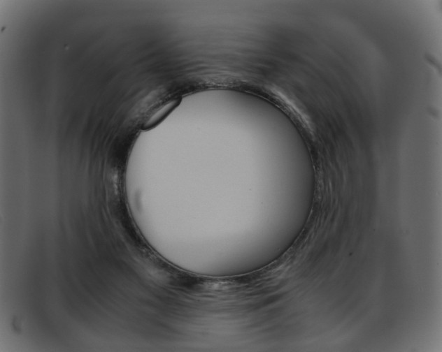 X0000093390117200710111355