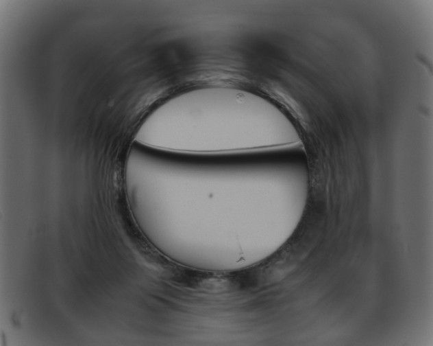 X0000093390119200710111355