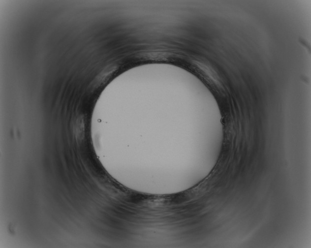 X0000093390120200710111355