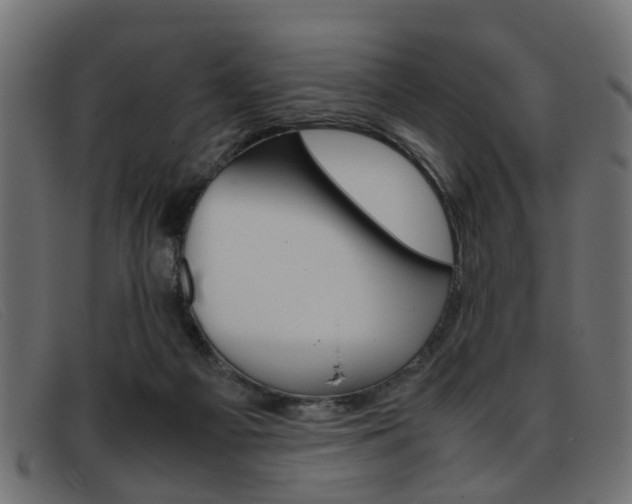 X0000093390121200710111355